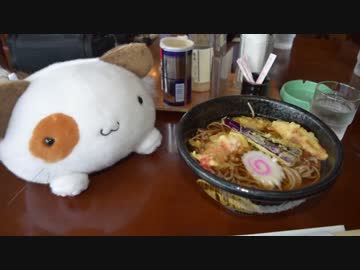 【VFR800F】道志、富士ツーリング【結月ゆかり】