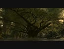 【FF14】エオルゼア観光所#1