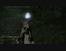 [FF14]新生オトナのHR[プレイ動画]～アニマウェポン編9～