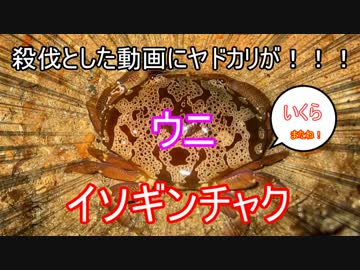 57円の竿で釣りをしてきた