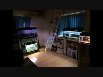 【ゆっくり解説】アクアリウムを始めよう!.03【水の維持】