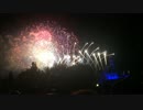 【DLR60】WDWのカウントダウンを祝う花火（本当はこれが上がるはずだった)