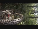 ご近所サイクリング
