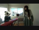 inemuriから2016年のごあいさつを