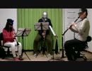 ソーサリアンより2曲クラリネットアンサンブルで演奏してみた