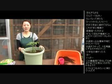 [2016.01.03]永井先生 雑談(ヘタレ、トマト栽培動画) (6/8)