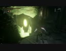 Bloodborne:DLC プレイ動画(7週目) －６－