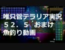 ゆっくりが唯只管「terraria １．３」　part052.5（おまけ）
