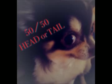 ヘッドホン推奨　50／50 HAED or TAIL