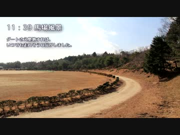 八風競馬場へ行ってきた。