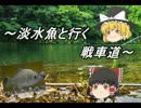 【WoT】淡水魚と行く戦車道12匹目【FV215b (183)】