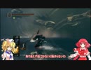【ゆっくり実況】夢美とちゆりのダークソウル part20