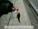 【湾奥釣行記】京浜島つばさ公園_ver.16.1.6【前編】