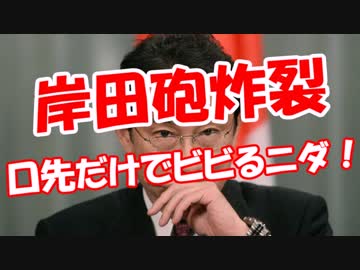 【岸田砲炸裂】 口先だけでビビるニダ！