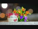 【柚原ここあ】ハーゲンダッツ以下の殺風景【踊ってみた】