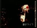 【初投稿！！】迷子ライフ歌ってみた【sako】
