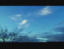Signals. - Sleep Talk II (Official B-Side Music Video)