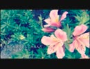 ▷きかせたいのは　歌ってみた ⌘ 小夜子