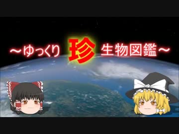 ～ゆっくり　珍　生物図鑑～　新・第21回