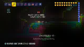 【テラリア】日刊・テラリア実況　その９４１【公式企画参加】