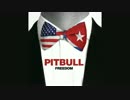Pitbull - Freedom (Audio)
