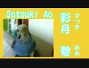 イメチェン