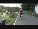 伊豆をロードバイクで１周してきた