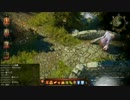 【Divinity: Original Sin】二人でまったり大冒険！プレイ動画その157