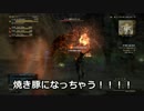 DDON日記２（2016.01.08-09）