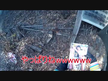 東京の林道にいってみた その6