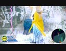 【22爺】まだ可能性を秘めている(笑)22爺その56