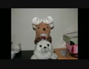 【石鹸屋】　「もう歌しか歌えない」を弾いてみた　【1弦ベース】