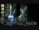 魔導師が行くスカイリムpart36