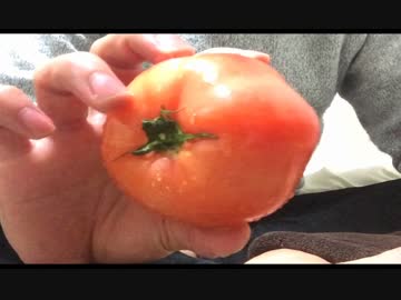 「トマト」を実況するぜ！＾＾ 【part2(終)】