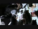 こんしゅうのおやつ【蒼民家の猫々】