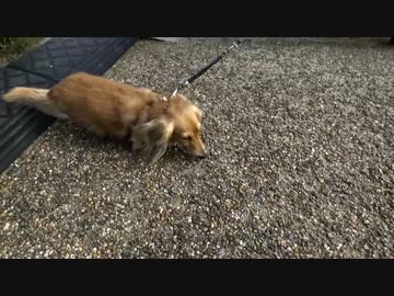 【実況】隼で探索プチツーシリーズVol4:生駒の足湯 前編