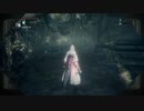 【ブラッドボーン】のらりくらり日々侵入【教会　火薬庫　血族】