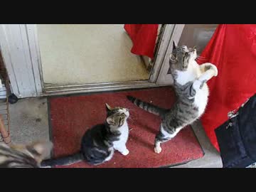 【RASHEEN】だいたい日本一周の旅　その14【広島　→　長崎】