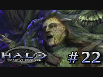 【協力実況】ほのぼの系残虐ファイトな２人Part22【HALO】