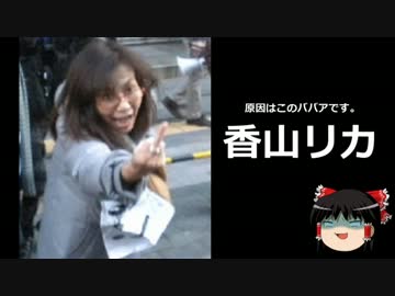 【ゆっくり保守】香山リカとカウンターデモの実態