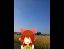 さわやか春の神社.summer