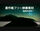 著作権フリー動画素材／商用利用可！／星空10（タイムラプス風）