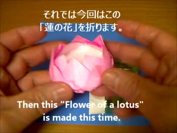 「蓮の花」と「十字架」