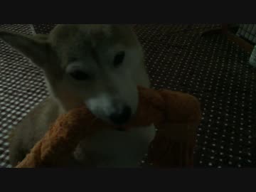 お出迎え