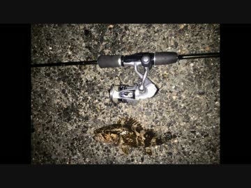 休日は魚釣りに出かけよう Part29