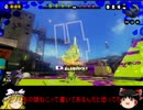 ショッツル鉱山　ナワバリ　シャープマーカー