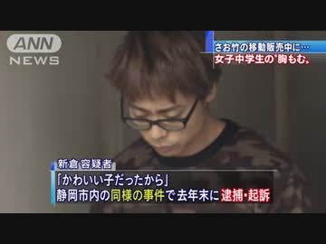 少女触る さお竹販売の男逮捕