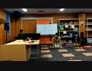 【せあふろ】バンドメンバーの数名で楽しく演奏してみた【うまるOP】
