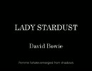 LADY STARDUST / DAVID BOWIE (LP Record)