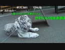 20160112 暗黒放送　福島にやってきた放送 6/6